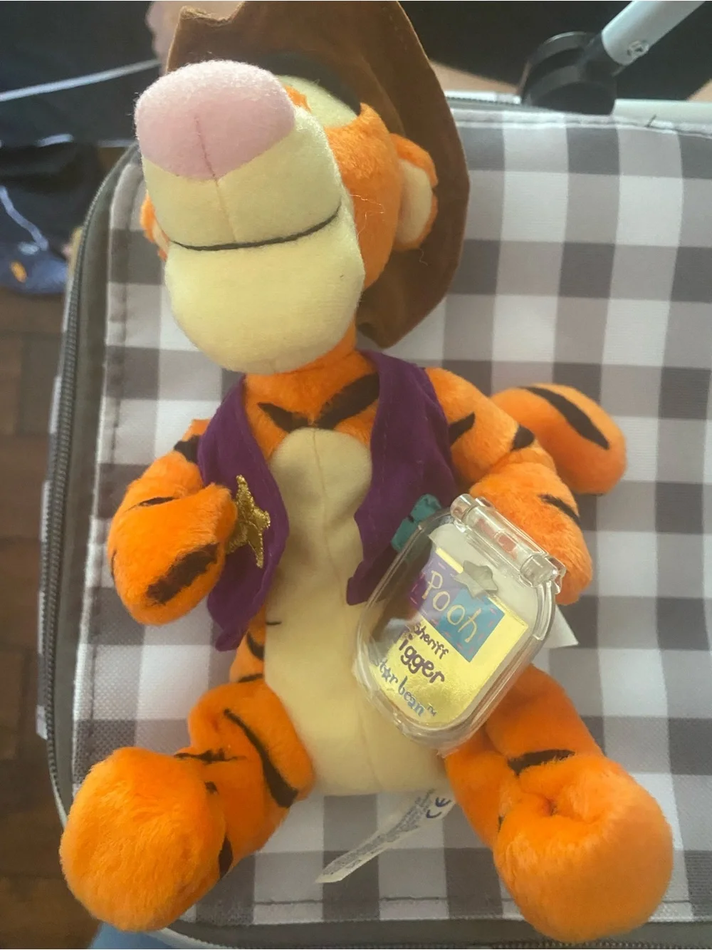 Disney Orange Tigger Plush with Purple Vest and Brown Hat